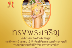 popup web - 16