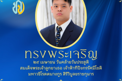 popup web - 7