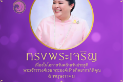 popup web - 9