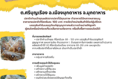 U2T-Mukdahan-04