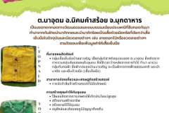 U2T-Mukdahan-06