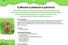 U2T-Mukdahan-13
