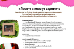 U2T-Mukdahan-18