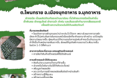 U2T-Mukdahan-21