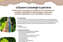U2T-Mukdahan-24