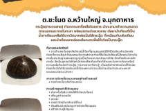 U2T-Mukdahan-38