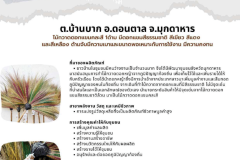 U2T-Mukdahan-48