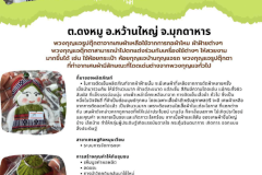 U2T-Mukdahan-49