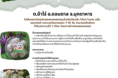 U2T-Mukdahan-61