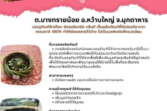 U2T-Mukdahan-73